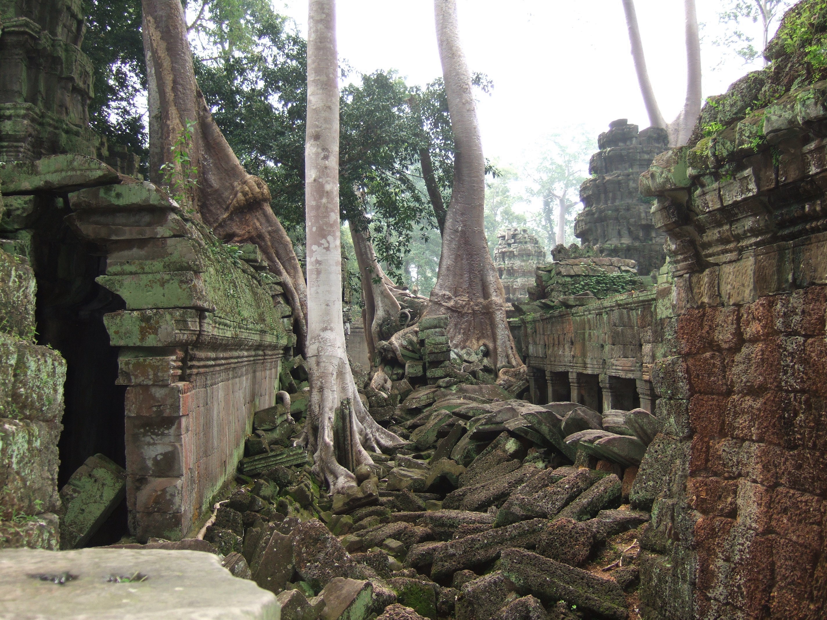 Angkor, Cambodia